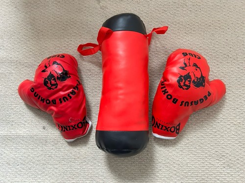 Kids boxing gloves and mini - and,